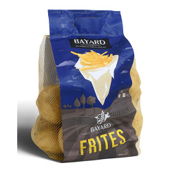PDT FRITE BAYARD 100X2,5KG